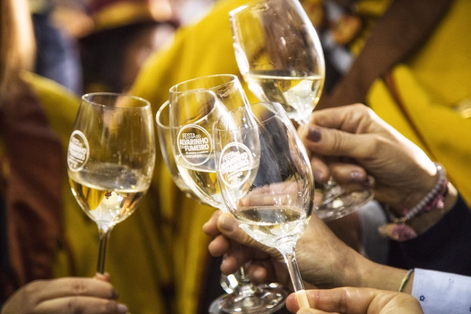 Tour Vinho Alvarinho e Melgaço - Image 1