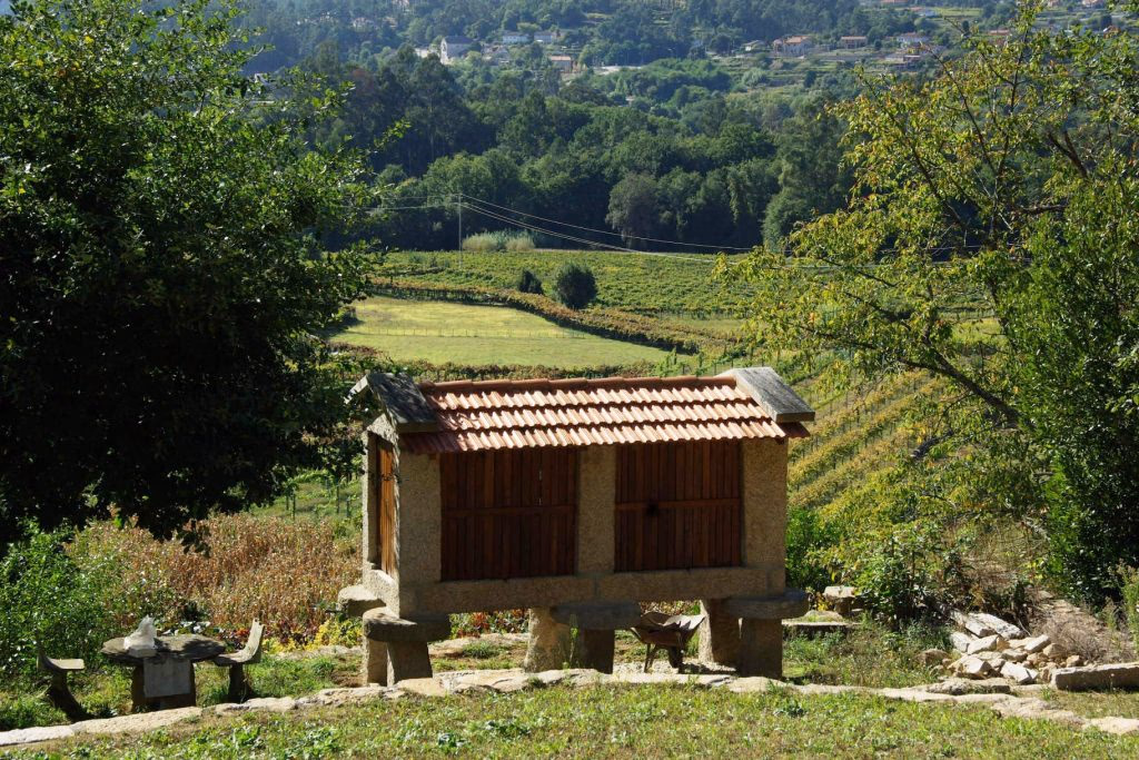 Tour Vinho Alvarinho e Melgaço - Image 4