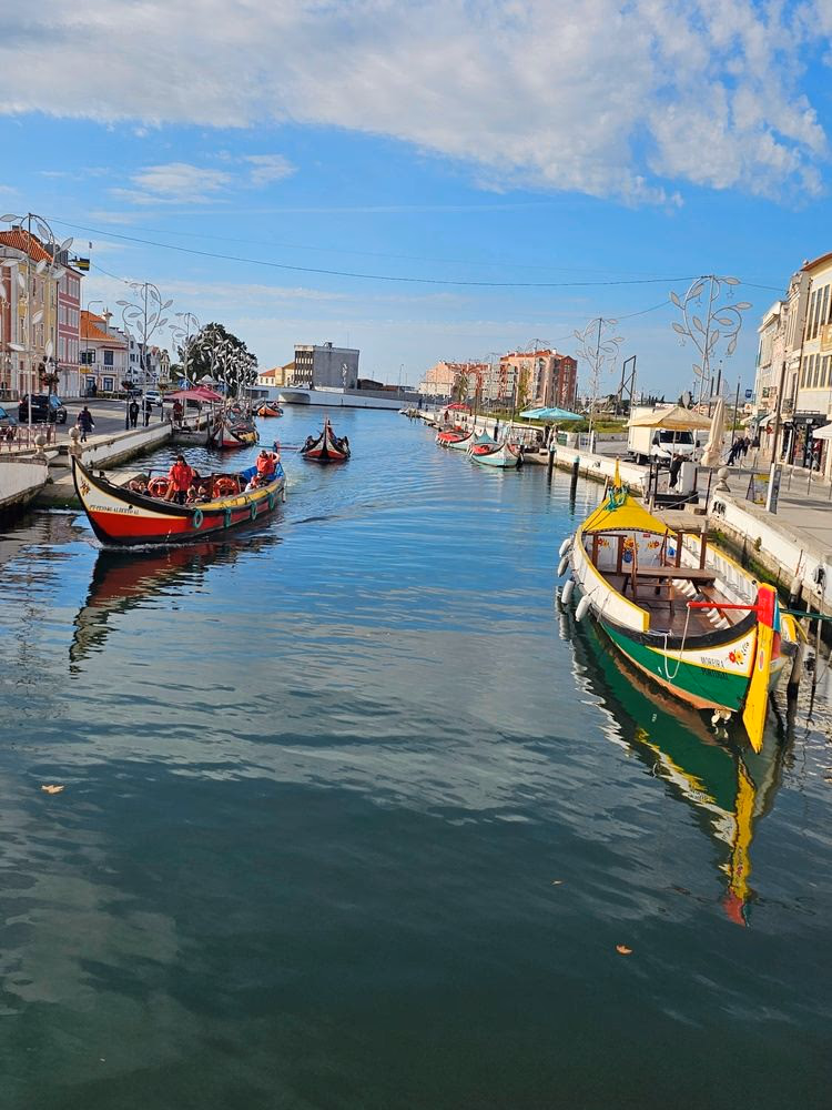 Tour do Porto a Aveiro - Image 1