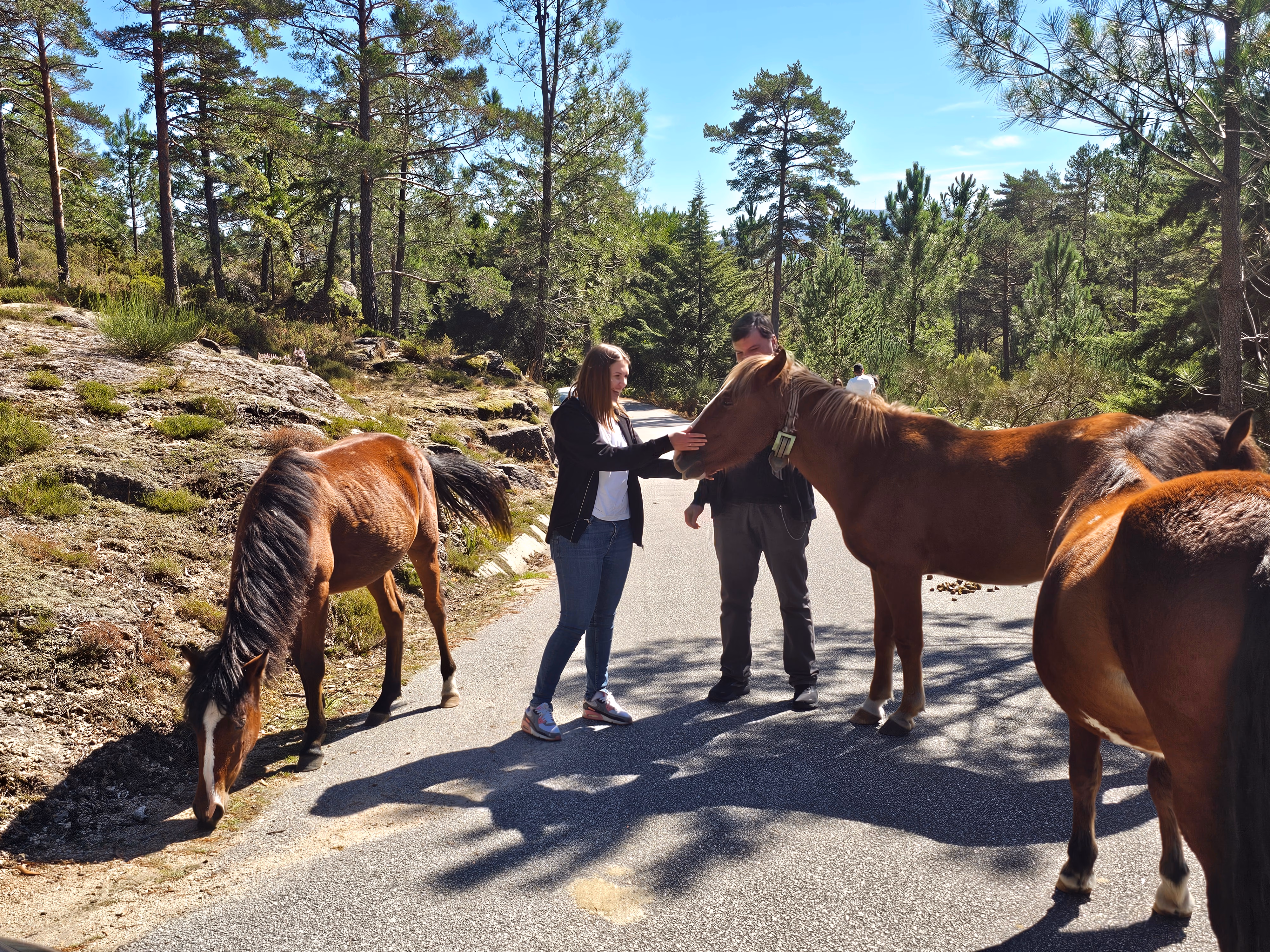 Tour no Parque Nacional da Peneda-Gerês - Image 3