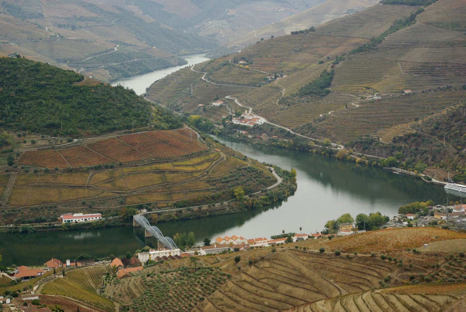 Tour Privado ao Pinhão – Caminhada nas Vinhas, Provas DOC e Cruzeiro desde o Porto - Image 4