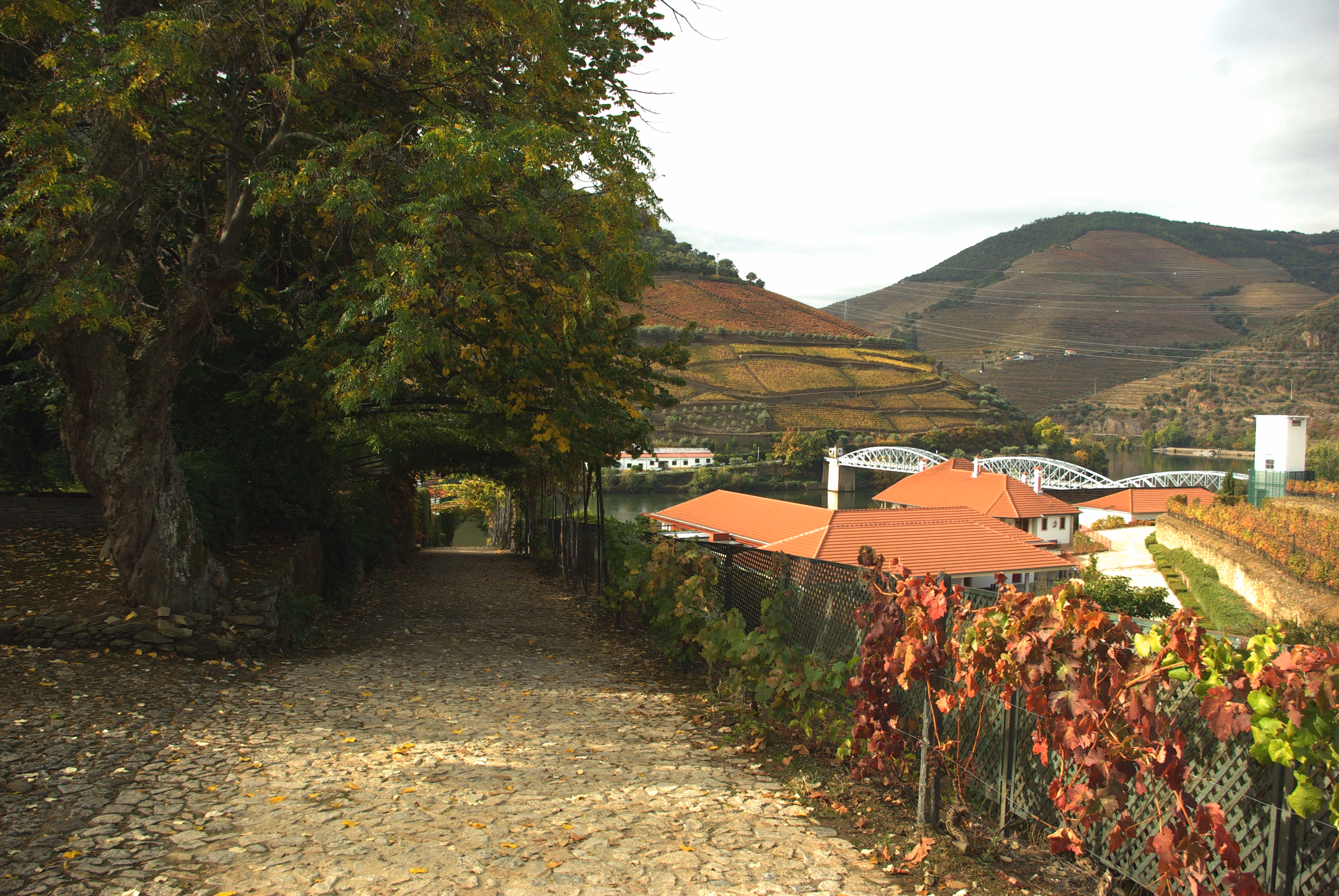 Do Porto ao Pinhão: caminhada, cruzeiro, vinhos - Image 3